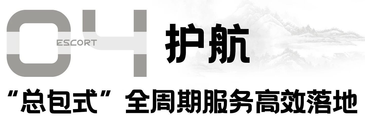 1767493251780490.jpg 8.jpg